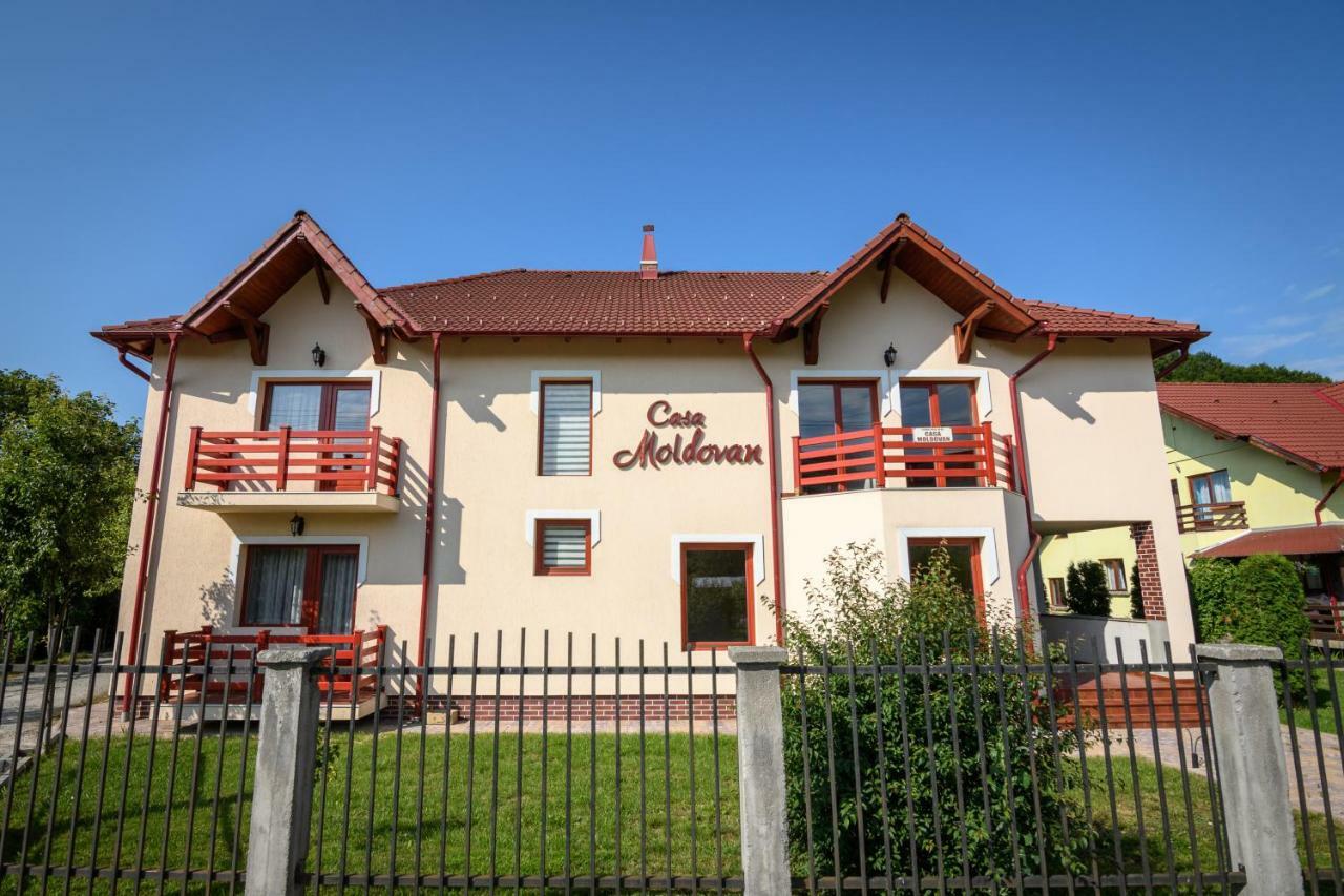 Casa Moldovan سوفاتا المظهر الخارجي الصورة