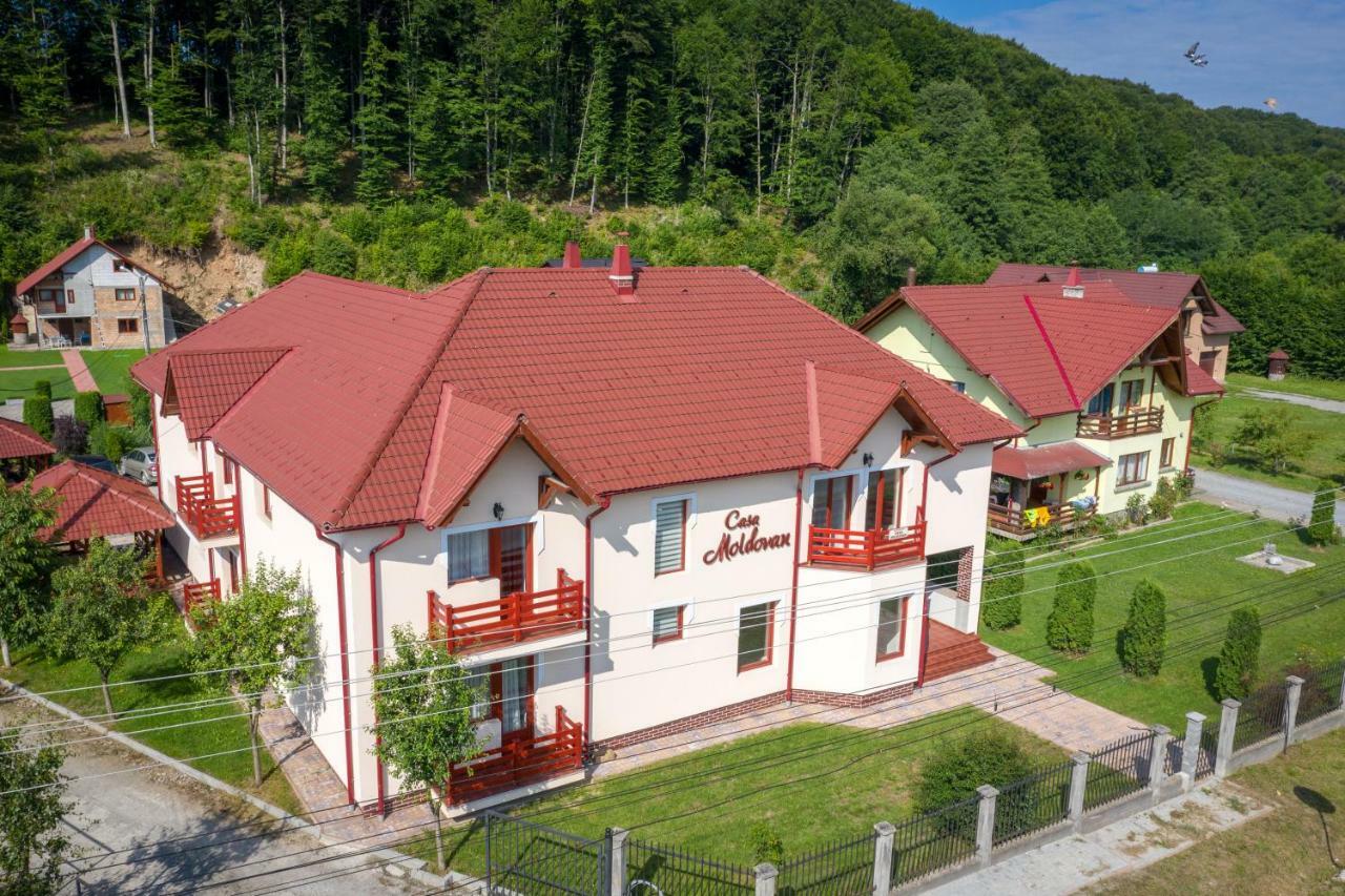 Casa Moldovan سوفاتا المظهر الخارجي الصورة